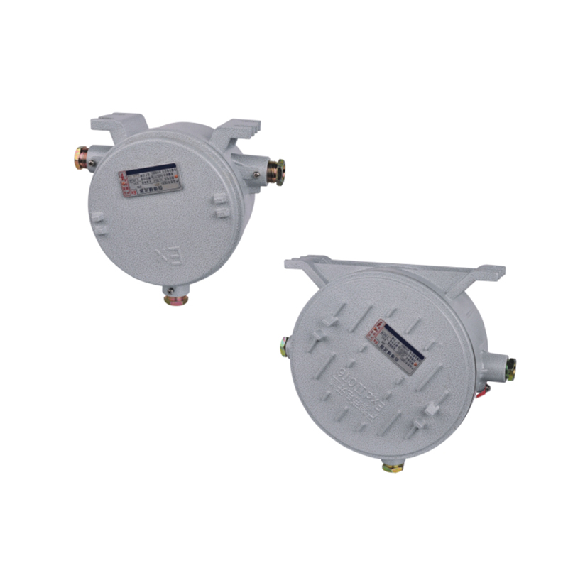 CBZ53系列防爆鎮流器（IIC tD）